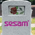 Sesam – R.I.P