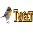 TweetCraft – ingame Twitter app for WOW! (video)
